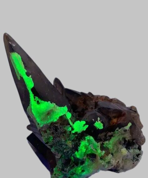 De bizarste Opaal die ik…