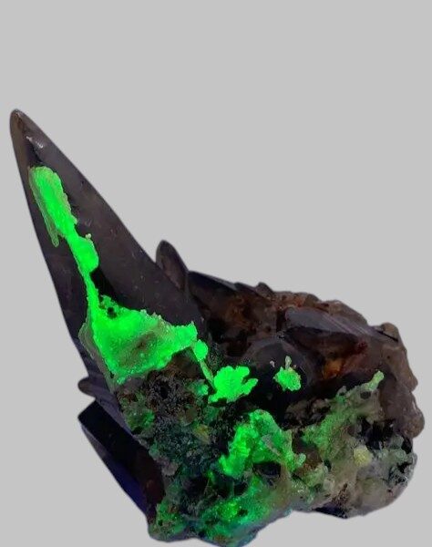 De bizarste Opaal die ik ooit gevonden heb, nu te koop